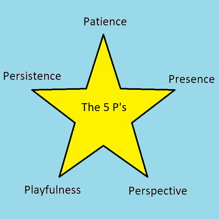 The 5 P's of IFS in a star.
             Patience, Presence, Perspective, Playfulness, Persistence